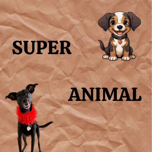 SUPER-ANIMAL